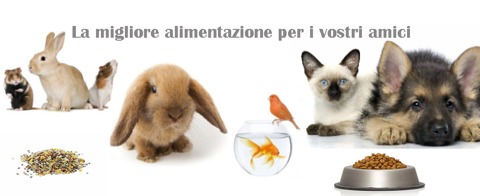 Mangimi - alimentazione