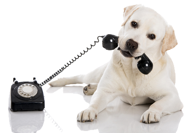 TELEFONO ANIM PNG