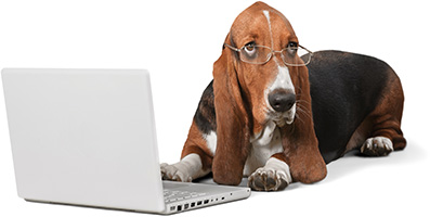 cane pc